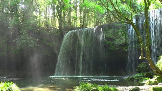 鍋ヶ滝の木漏れ日と光芒