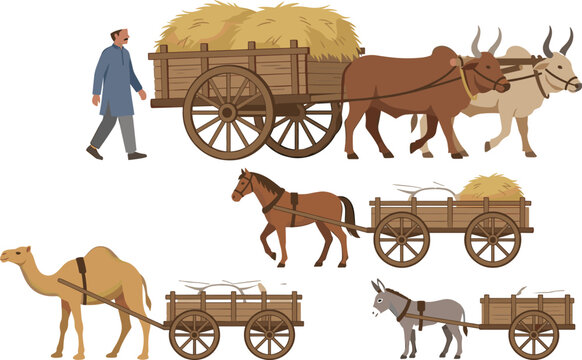 Farm Animal Illustration Set with Oxen, Horse, Camel, Donkey Pulling Hay Carts and Farmer Walking for Agriculture, Rural, and Digital Designs