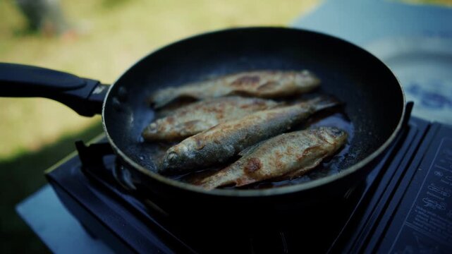 Fresh Caught Fish Frying In Hot Oil In Frying Pan Outdoors. Cooking Freshwater Catch Process On Picnic