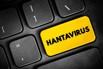 Fototapeta premium HANTAVIRUS word on a keyboard button. Online research for healthcare data and information about infectious viruses and medical safety tips.