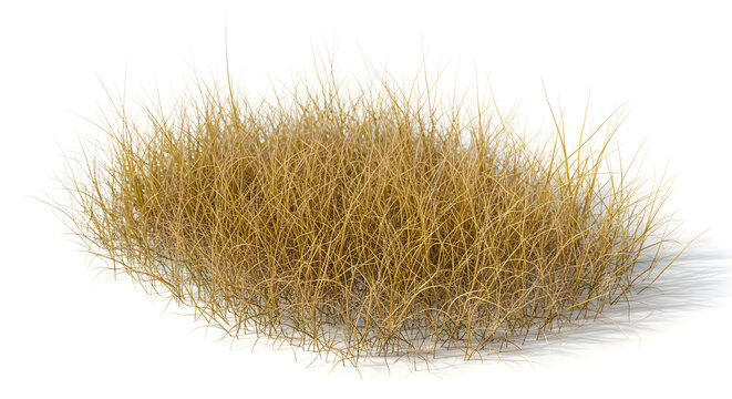 Golden Wheat Bundle Isolated on White Background Minimalist Line Art Illustration