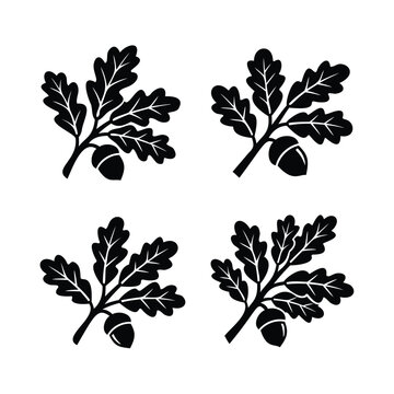 Oak Leaves and Acorns Icons illustration vector