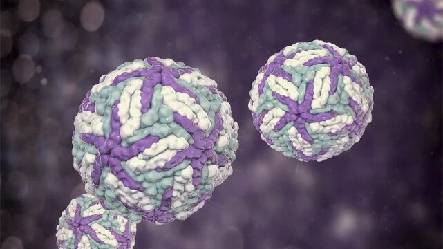 Dengue virus particles shown in 3D animation, enveloped RNA virions causing dengue fever, a mosquito-borne infectious disease affecting humans in tropical regions.