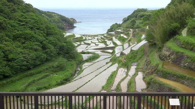 佐賀県　玄海町　浜野浦の棚田