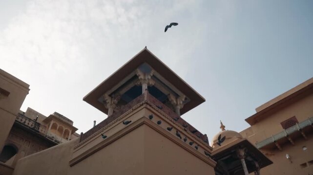 Low angle view of pigeons perching and flying around a majestic sandstone tower of a historic Indian fortress, revealing the intricate details of ancient Mughal and Rajput architecture