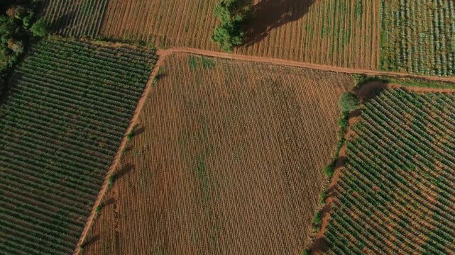 Top down aerial view over agricultural fields in Mexico reveals the steep rocky cliffs of La Garita canyon, sierra Penjamo, Guanajuato