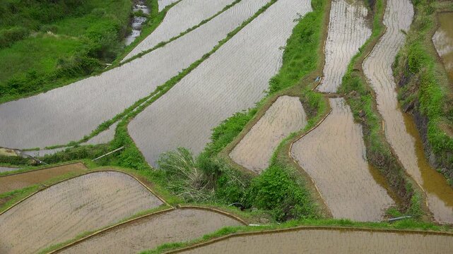 佐賀県 玄海町 浜野浦の棚田　