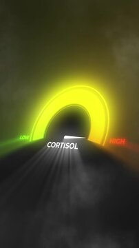 Glowing cortisol level gauge spikes to high then falls to low. Dark background, vertical format.