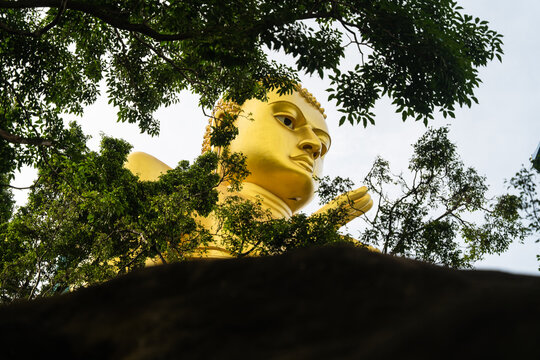 View of the massive Golden Buddha statue framed by lush green tree branches and dark rocks Dambulla, Central Province, Sri Lanka.
