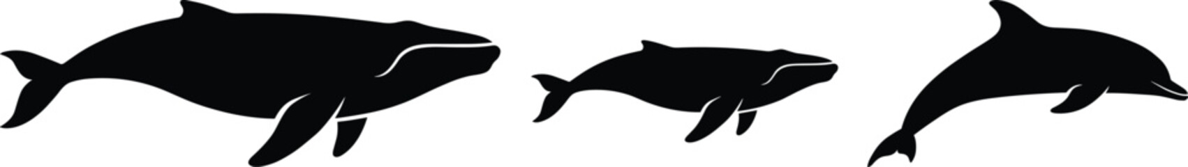 Humpback whale and dolphin silhouette vector collection featuring aquatic mammals swimming in ocean water isolated on white background for marine wildlife nature design. © JetandroNath