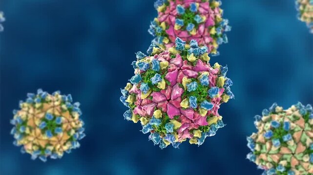 Poliovirus particles shown in 3D animation, non-enveloped RNA virions causing poliomyelitis, highlighted in context of global eradication and vaccination campaigns.