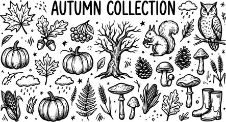 Black and White Line Art Autumn Collection: Pumpkins, Squirrel, Owl, Tree, Mushrooms, Acorns, Corn, Leaves, Boots, Pinecones, Clouds, Raindrops © jouleea