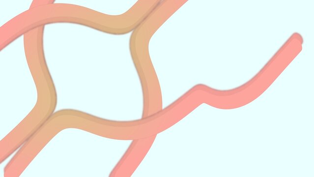 Abstract intertwining wavy lines creating a complex network on a light background.