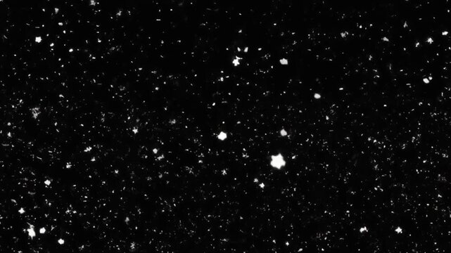 Snowfall animation on a black screen, winter background, falling snowflakes, loopable, seamless
