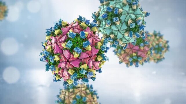 Poliovirus particles shown in 3D animation, non-enveloped RNA virions causing poliomyelitis, highlighted in context of global eradication and vaccination campaigns.