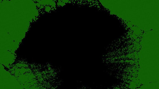 Black and white liquid splatter overlay with alpha channel. green screen
