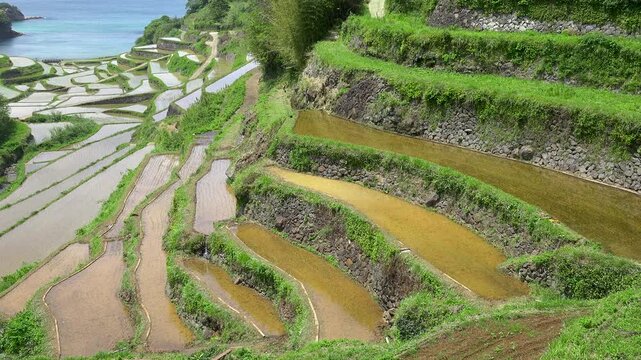 佐賀県 玄海町 浜野浦の棚田　