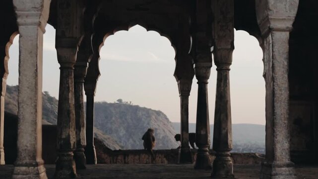 Majestic view from an ancient Indian temple, where a rhesus macaque sits on a stone wall overlooking the mountainous landscape of Jaipur, as another monkey playfully runs past
