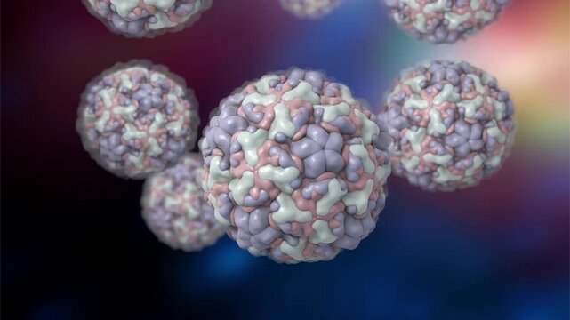 Rhinovirus particles shown in 3D animation, small non-enveloped virions causing common cold, respiratory viral infection affecting upper airways in humans.