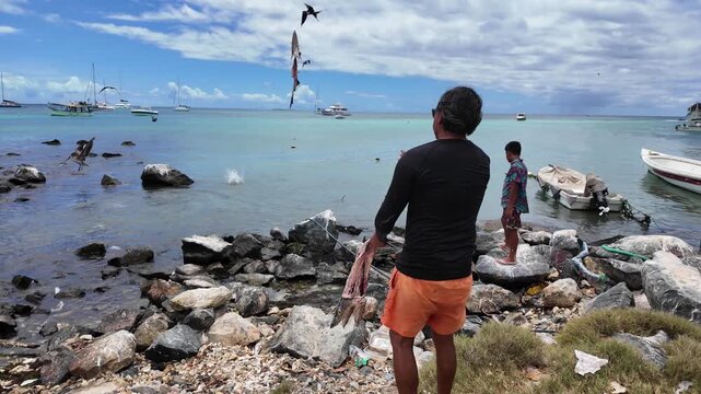 Local worker on a tropical rocky shore feeding wild frigatebirds and gulls with organic waste on a sunny day., caribbean island