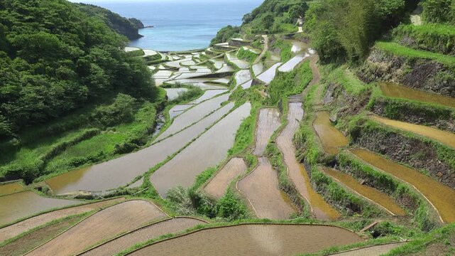 佐賀県 玄海町 浜野浦の棚田　タイムラプス