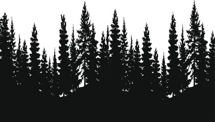 Dense forest tree silhouettes with tall coniferous shapes for nature, landscape, environment, and design illustration projects © Rina