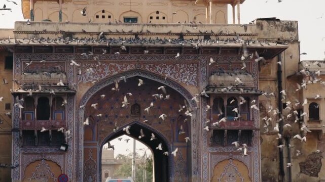 Flock of pigeons flying in front of a richly decorated ancient gate in Jaipur, India. The historic sandstone archway showcases intricate Mughal architecture and traditional artistic details