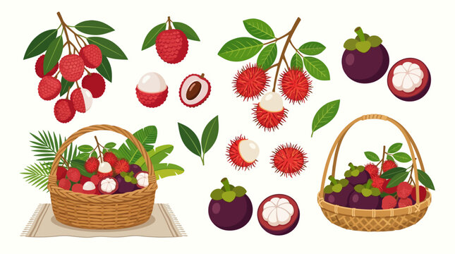 Fresh Rambutan Fruits in Baskets.