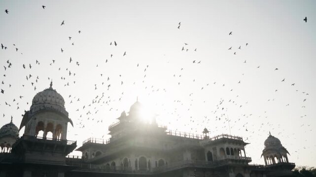 Large flock of birds flying silhouetted against the bright sun over the historic Albert Hall Museum in Jaipur, India, creating a beautiful and dramatic natural spectacle