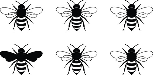 Cartoon bee icons with striped bodies and wing variations representing insect anatomy and comparison vector illustration © Creative Stoker