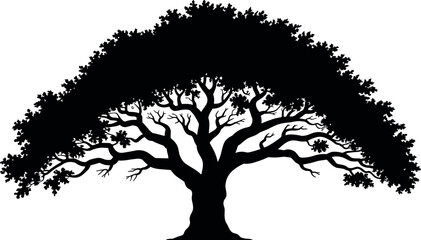 Southern live oak tree vector silhouette with spreading branches and dense canopy isolated on white background for landscape design element © BIPUL