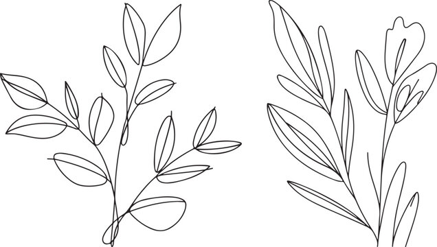 Line art of imperfect botanical  with irregular leaf contours, flowing continuous strokes