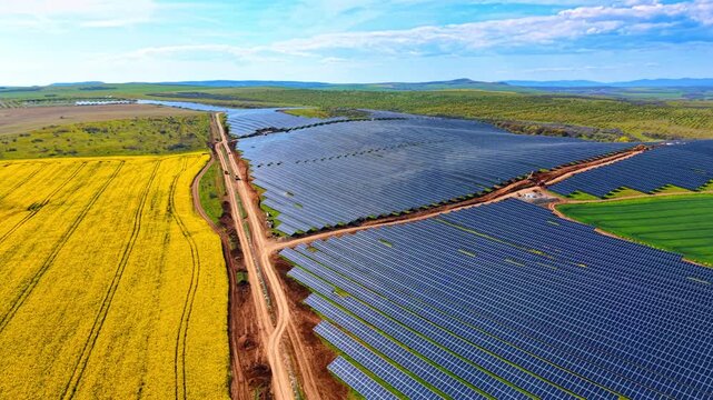 Aerial view of dirt road separating solar farm and field. Drone shot of dirt road between large solar panel array and bright yellow rapeseed field under sunny sky.