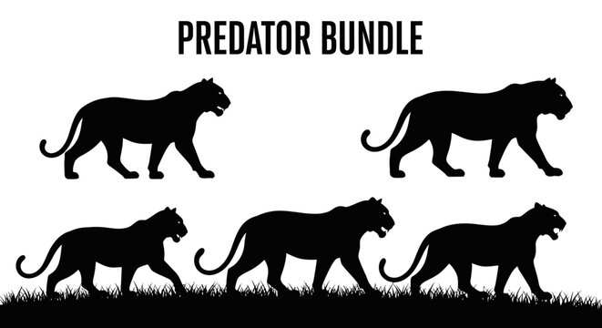 Silhouettes of five big cats walking.
