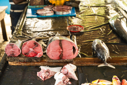 View of fresh tuna steaks and whole fish displayed on a table at a local outdoor fish market in Galle, Southern Province, Sri Lanka.