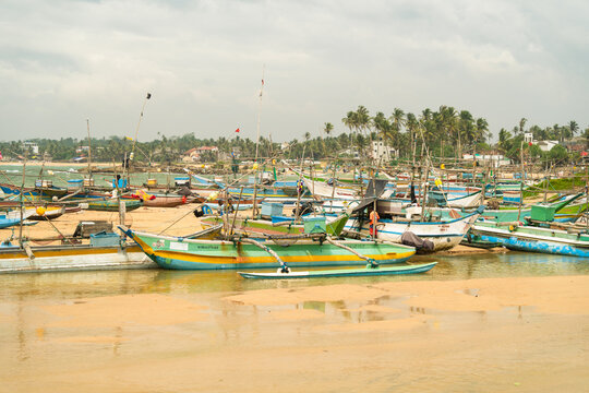 View of traditional colorful outrigger fishing boats moored on the sandy shore under a cloudy sky in Dodanduwa, Southern Province, Sri Lanka.