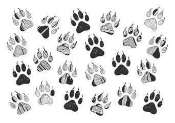 Hand-drawn paw prints pattern on white background © Batter stock