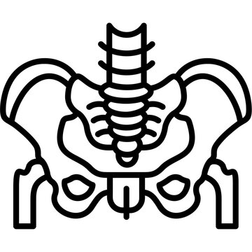Pelvis Icon