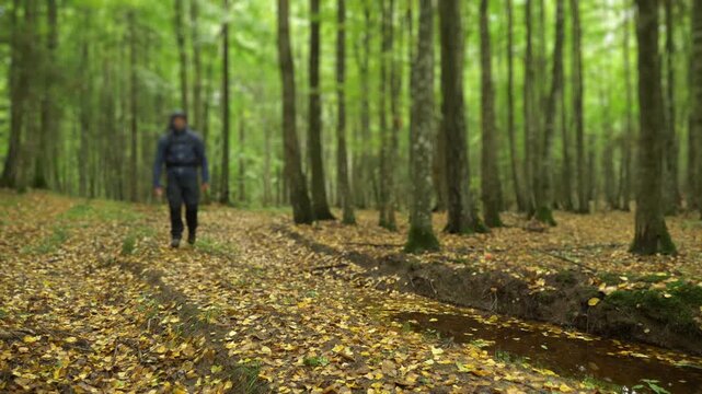 Hiker walking down a dirt path covered in autumn leaves
