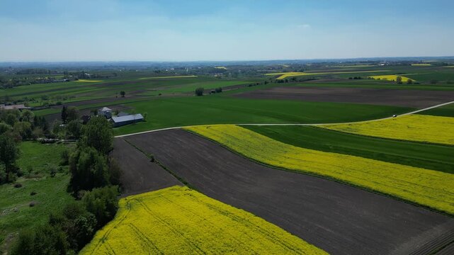 Aerial view of colorful agricultural fields in rural Poland
