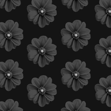 Seamless monochrome dahlia flower pattern on dark background. Moody black and white floral background.