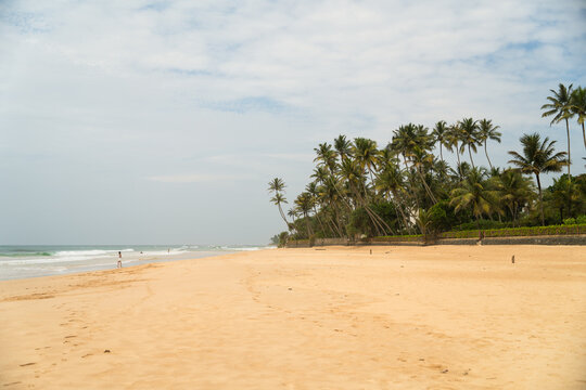 View of a wide sandy beach with palm trees and gentle waves under a cloudy sky Sri Lanka.