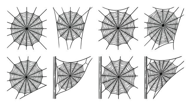 Collection of hand-drawn spider web