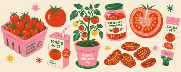 A vibrant collection of tomato products and a home-grown plant