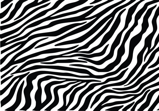 Zebra Pattern Vector Illustration