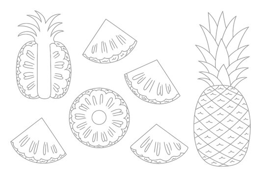 A collection of pineapple slices and a whole pineapple, line