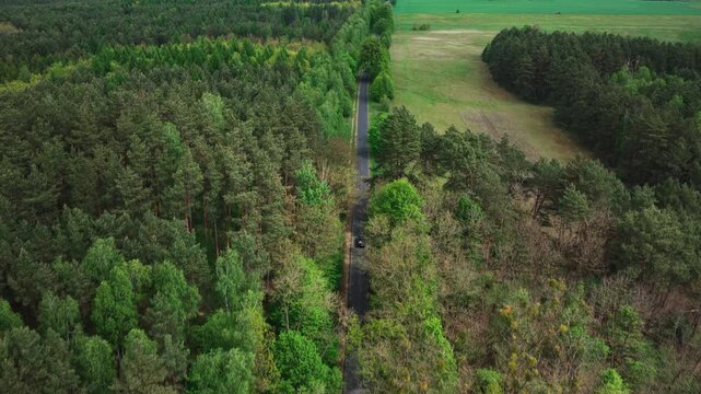 Aerial Dolly In Tracking of Black Van Drive on Rural Road through Dense Forest and Green Meadows
