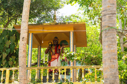 View of the colorful Hanuman statue holding a mountain within a yellow shrine surrounded by lush tropical greenery in Unawatuna, Southern Province, Sri Lanka.