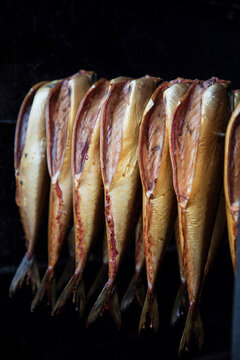 Fresh fish being smoked in the outdoor smoke house in Dziwnow in Poland