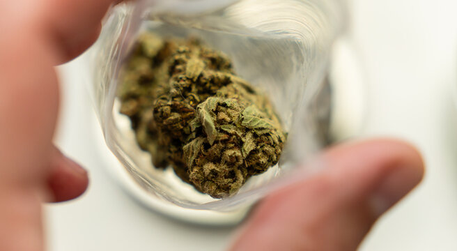 Medical marijuana dispensary and alternative healing concept.